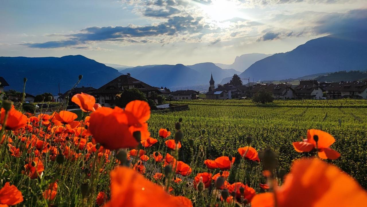 Highlight Apartments Appiano Sulla Strada Del Vino Eksteriør bilde